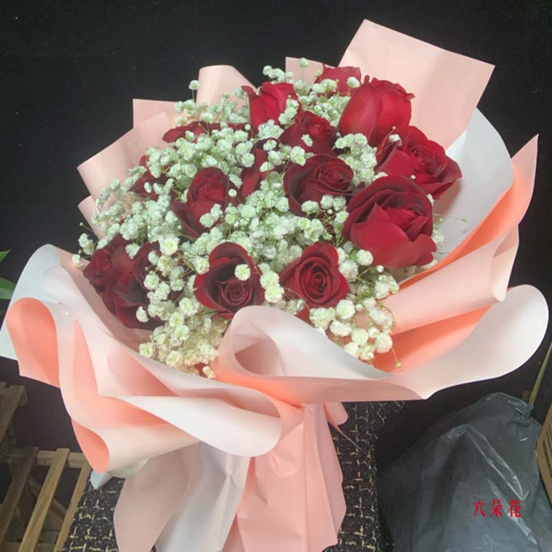 19朵红玫瑰满天星,爱一路珍藏(实拍照)