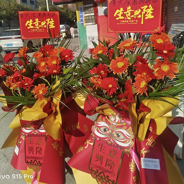 20朵各色扶郎花花篮,开业贺喜(实拍照)