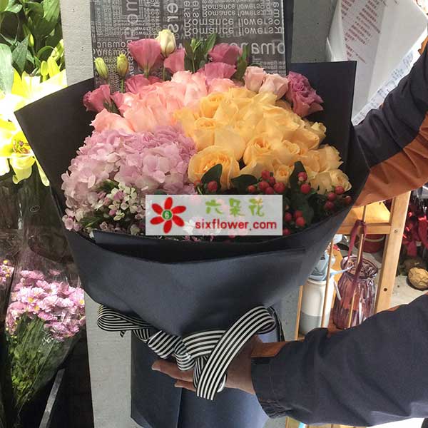 洛阳西工区上阳路隆安上阳华