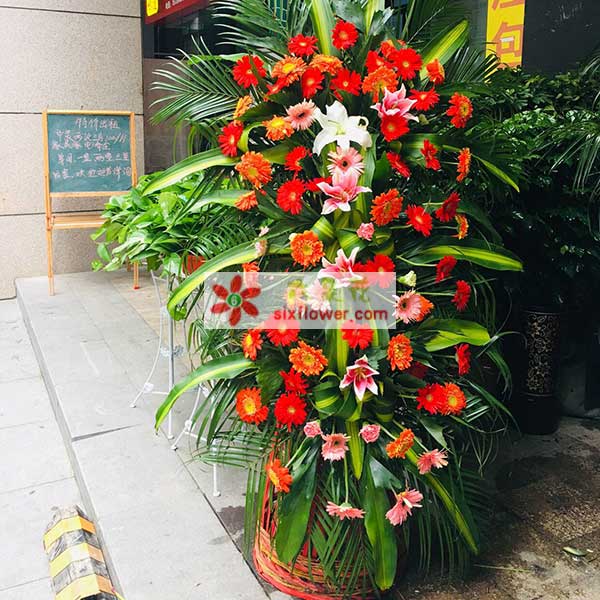贵阳观山湖区北大资源梦想城(到了电话...