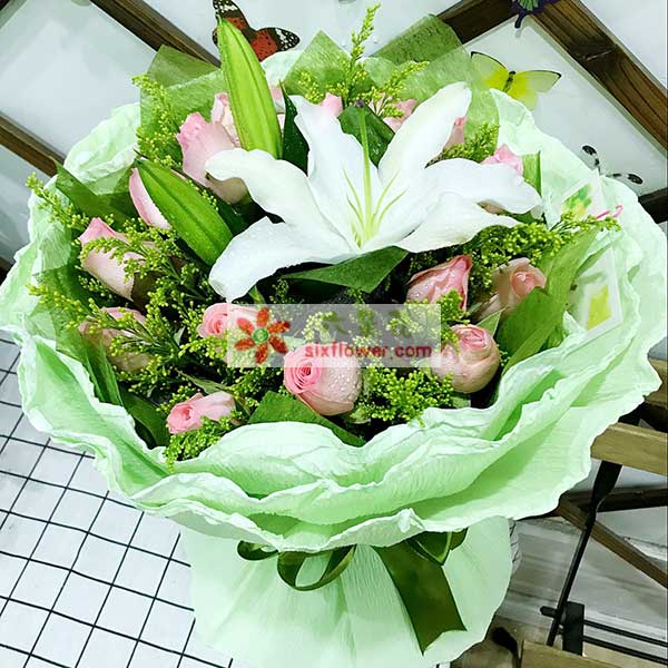 ���K�݈@�^(q��)�f���мZ����1�����r�����ĈD