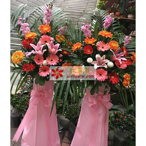 送莆田荔城区金鼎四楼的鲜花实拍图