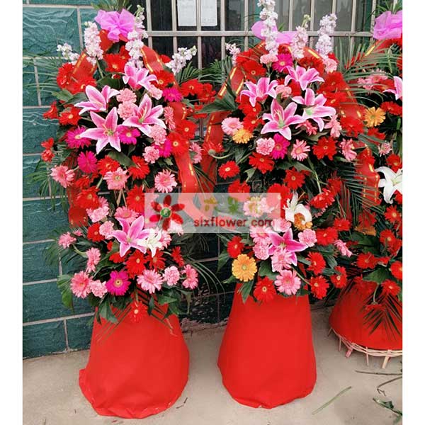 �����w����h����ЌW(xu��)���r����(sh��)�ĈD