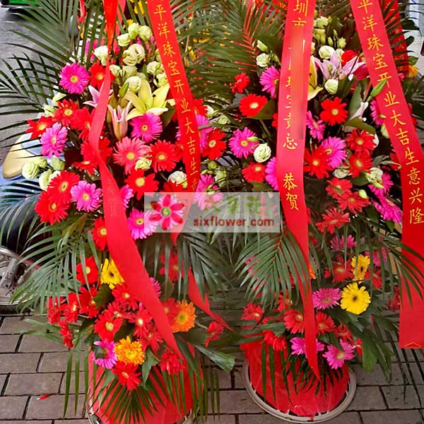 送江苏省启东市人民东路太平洋广场113号-太…的鲜花实拍图