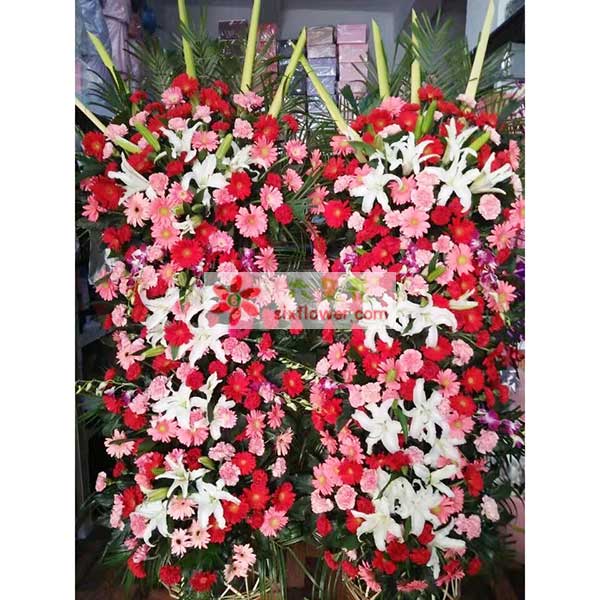 送淄博市博山区城东办事处珑山路美罗汇大药店的鲜花实拍图