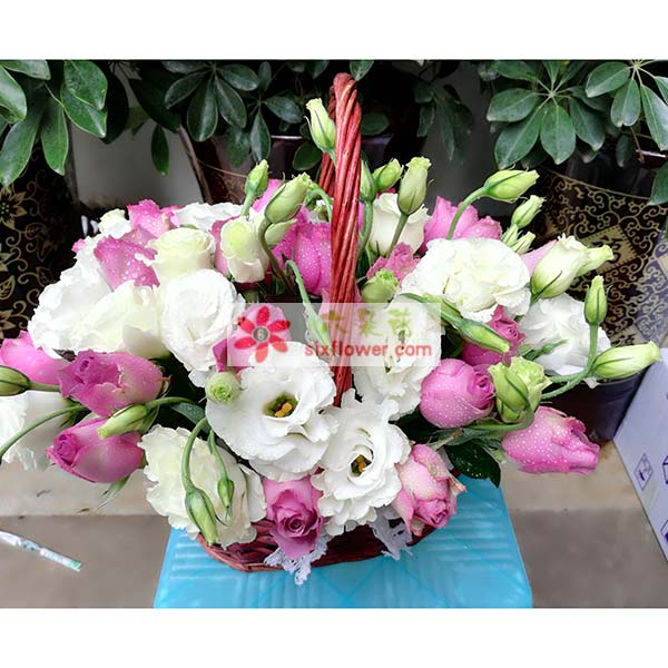 送贵阳观山湖区金阳南路54号观山湖1号 9-1-…的鲜花实拍图