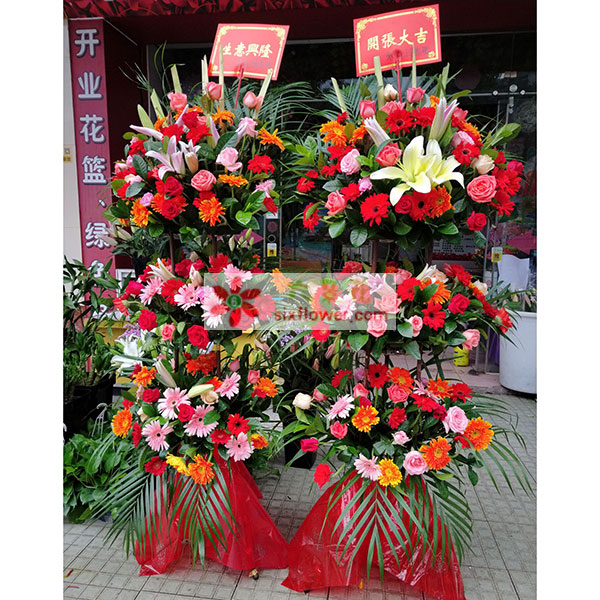 送四会市商业大道东城花苑18号万盈酒店旁(原双…的鲜花实拍图