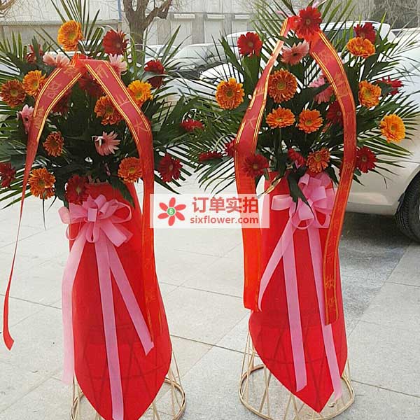 送廊坊广阳区新华路76号天利得…的鲜花实拍图