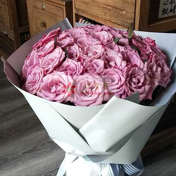 爱的浪漫世界/50支紫色玫瑰(实拍照)