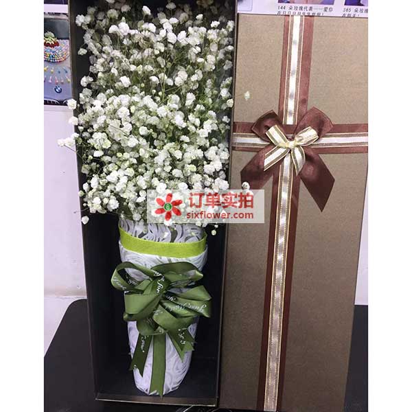 送梅州蕉岭县蕉城镇东…的鲜花实拍图