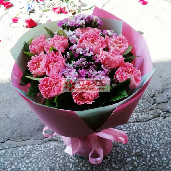 深圳市大鹏新区葵涌镇延安路比亚