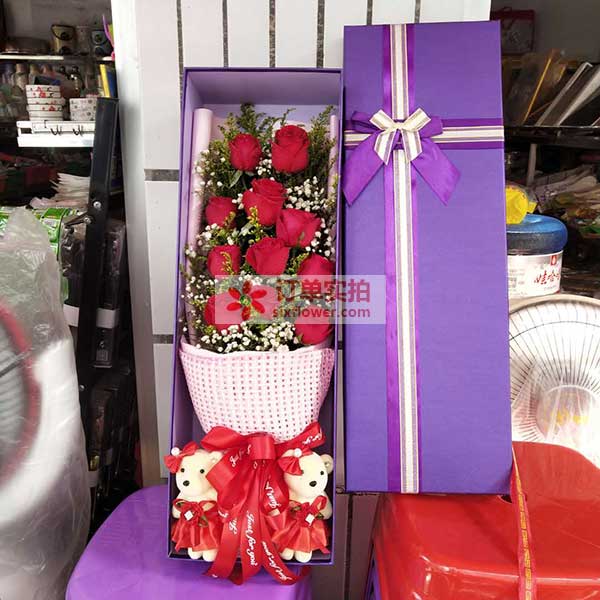 11朵红玫瑰,相思的青藤(实拍照)