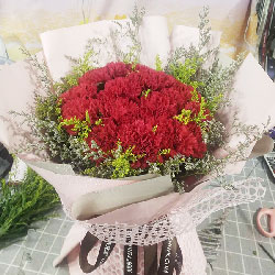 天津红桥区光荣道附近花店送花实拍(18朵红色康乃馨，您无私的爱)