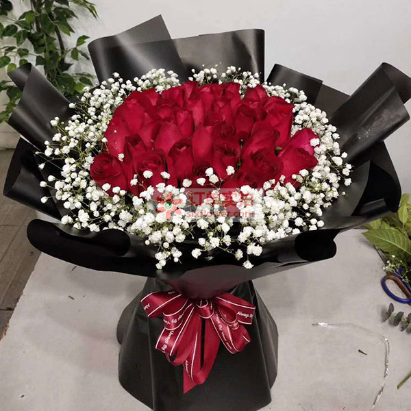 我一生只为你而来/33支红色玫瑰(实拍照)