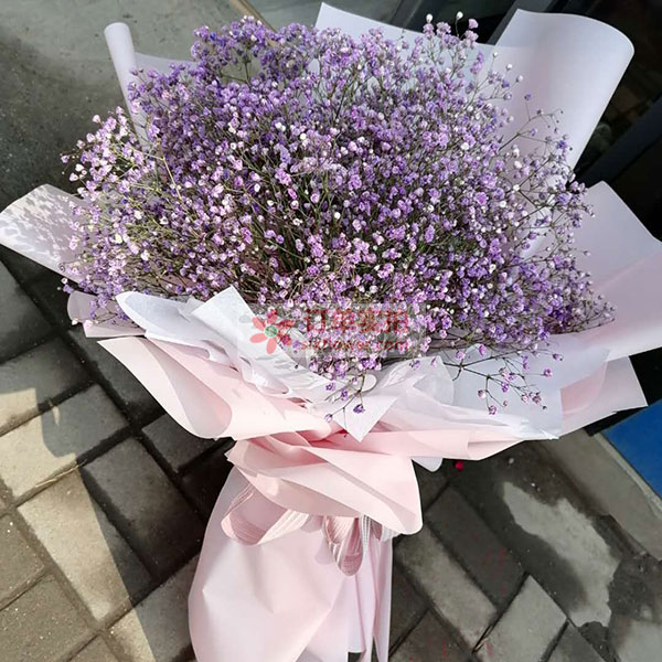 送济南市商河县泰和名都小区16号…的鲜花实拍图