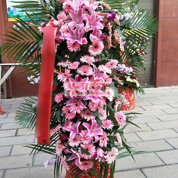 送白银市白银区王岘东路鑫鑫…的鲜花实拍图