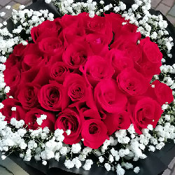 永州祁阳县花店 祁阳县送花 祁阳县网上订花 六朵花