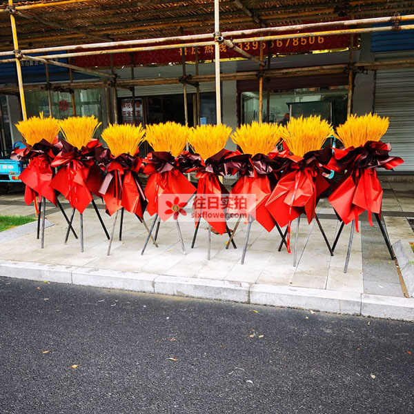 送含山县环峰镇昭关西路111号玉龙湖城市广场的鲜花实拍图