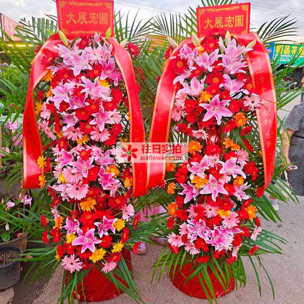 �������廪��ѧ��·253���Ļ�Ƶ���ʻ�ʵ��ͼ