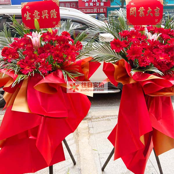 送湖南省邵阳市绥宁县长铺镇长征路居委会绿洲大道9号的鲜花实拍图