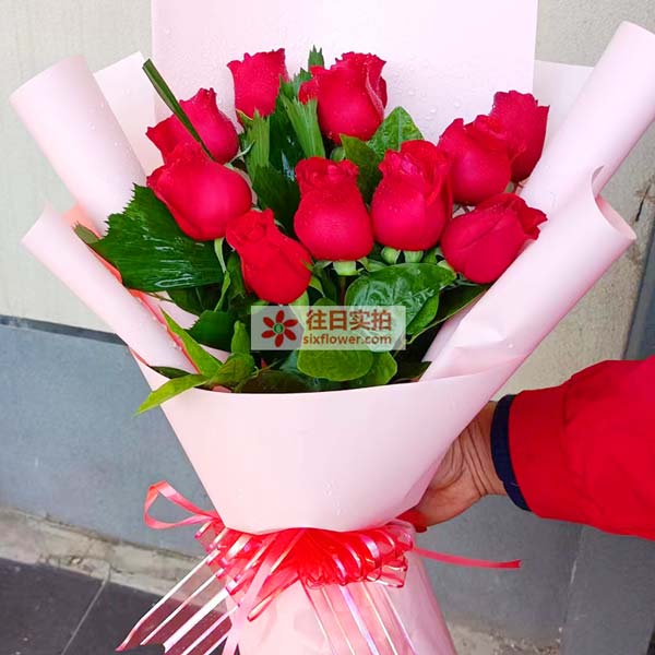 送滑县新区家源阳光城一单元的鲜花实拍图