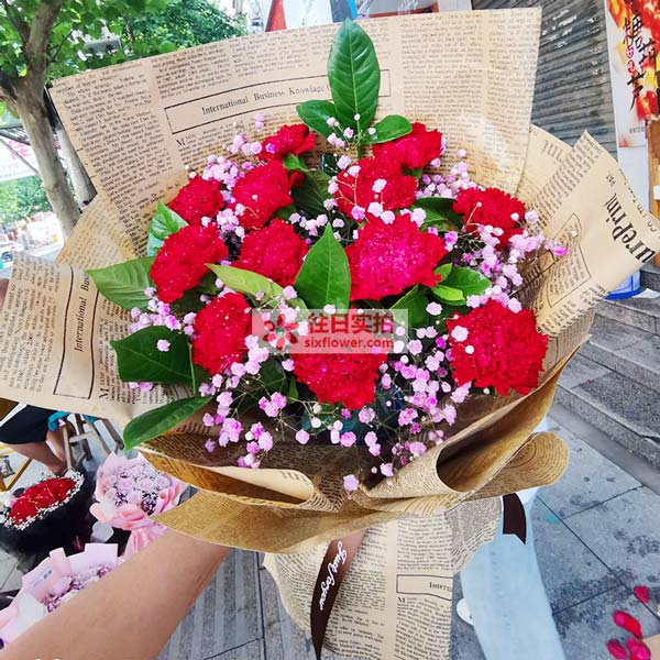 送邯郸魏县北皋镇孙庄村的鲜花实拍图