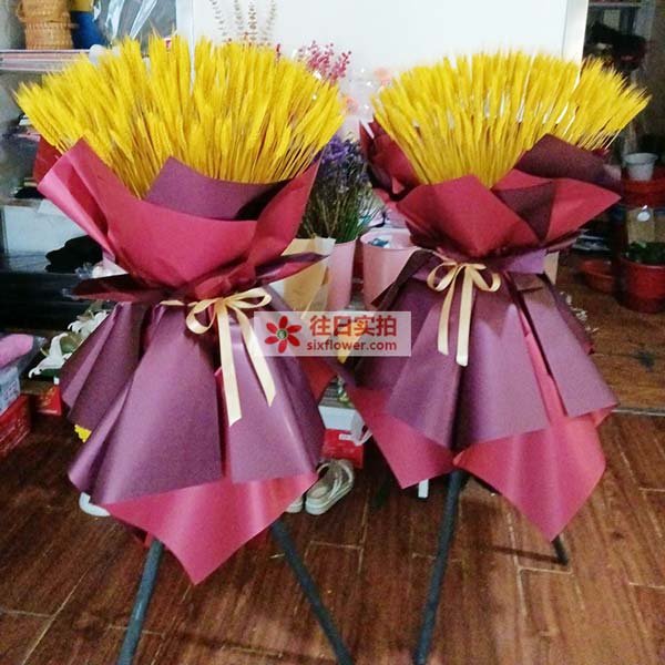 送沧州市明珠商贸城明珠品牌馆三楼的鲜花实拍图