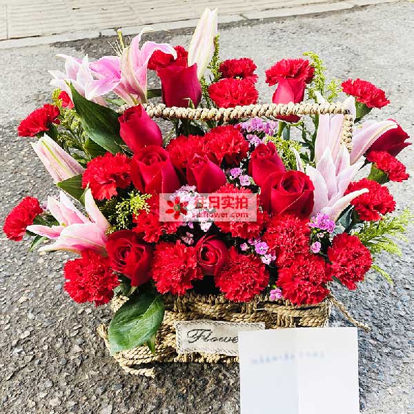 ����h���h�^(q��)��Ŵ�����̏V�����r�����ĈD