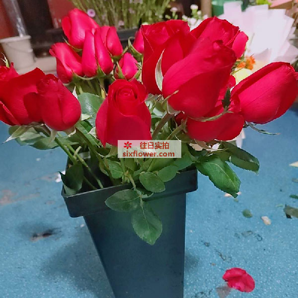 送益阳赫山区老凤祥万达店的鲜花实拍图