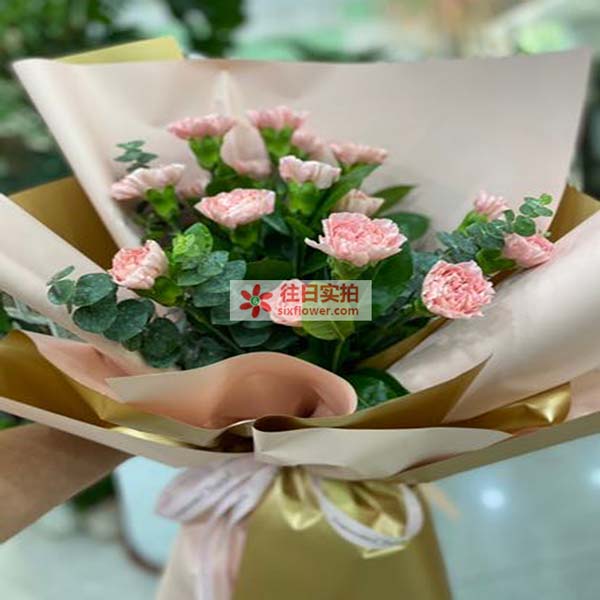 送颍上县人民医院16楼的鲜花实拍图