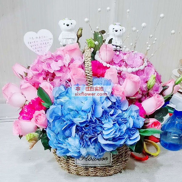 送安徽省亳州市涡阳县碧桂园龙城的鲜花实拍图