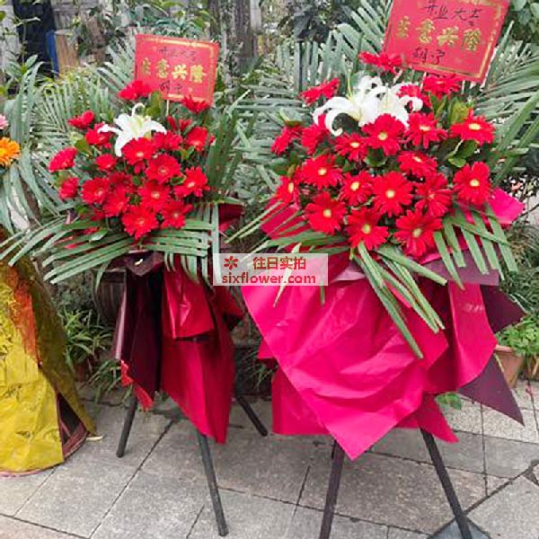 送南溪区北滨路四段中奥伍福家园的鲜花实拍图