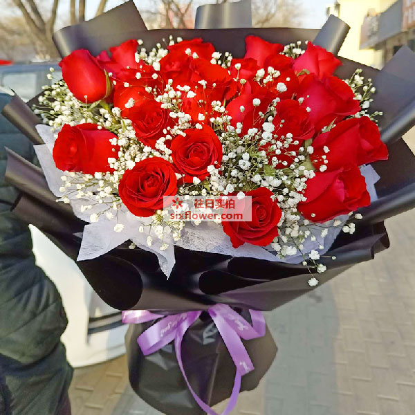 送石嘴山大武口区朝阳西街委的鲜花实拍图