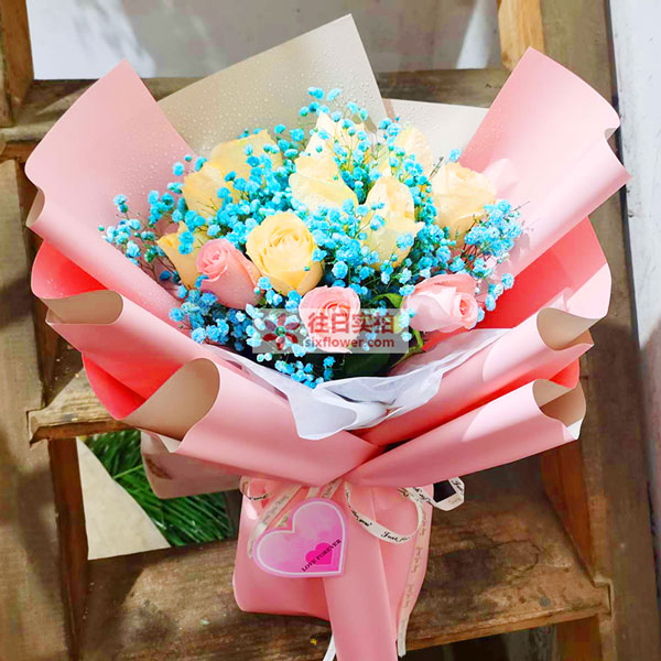 送娄底职业技术学院医学院的鲜花实拍图