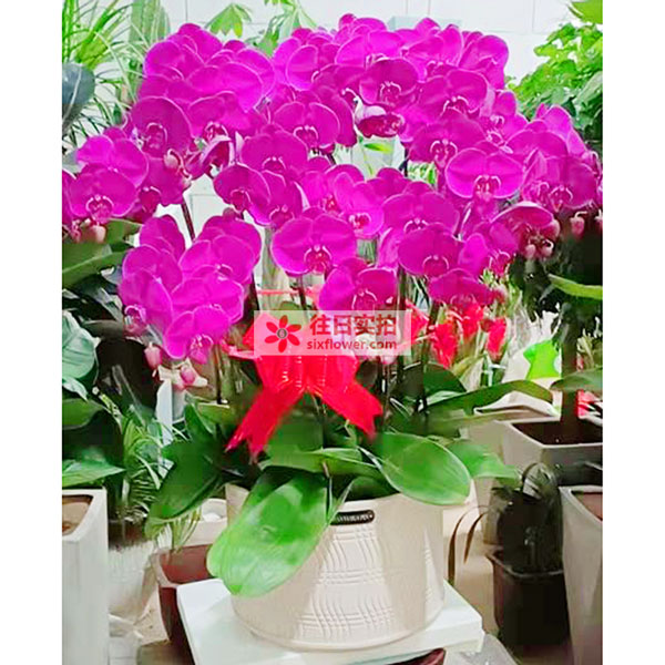 ���_���R���жŘ��(zh��n)��ɫꖹ�5�����r�����ĈD