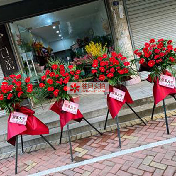 送滁州市明光市双拥路东方明珠的鲜花实拍图