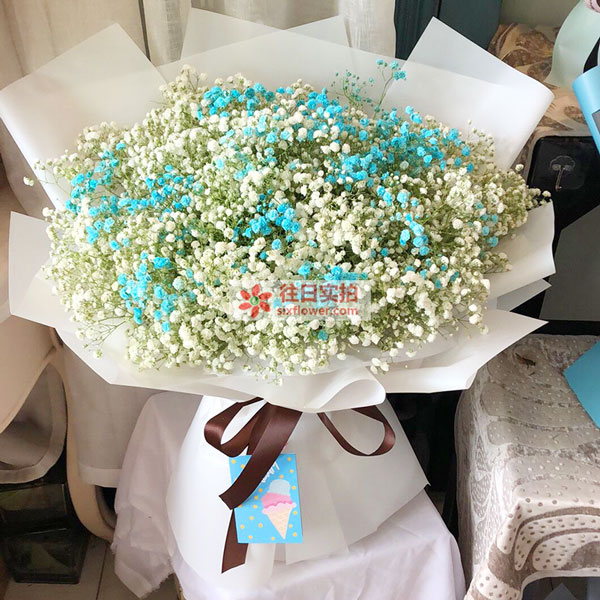 送南通理工学院(北门)5栋的鲜花实拍图