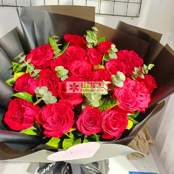 送河南省许昌县建安区丈地村的鲜花实拍图