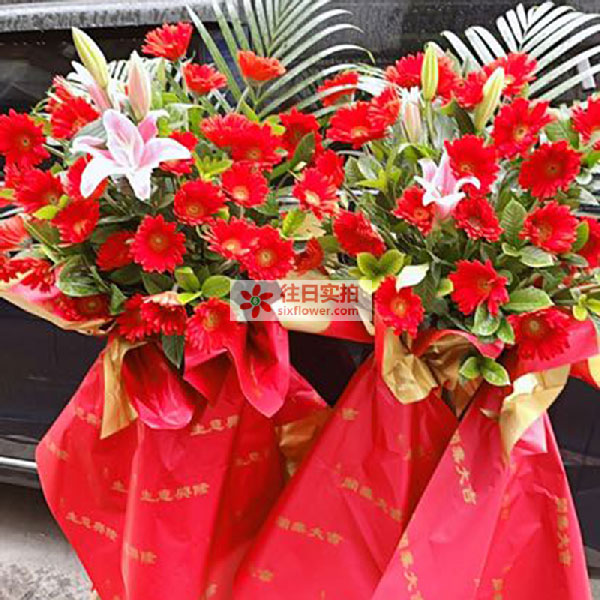 送肇庆市四会市沙田花园的鲜花实拍图