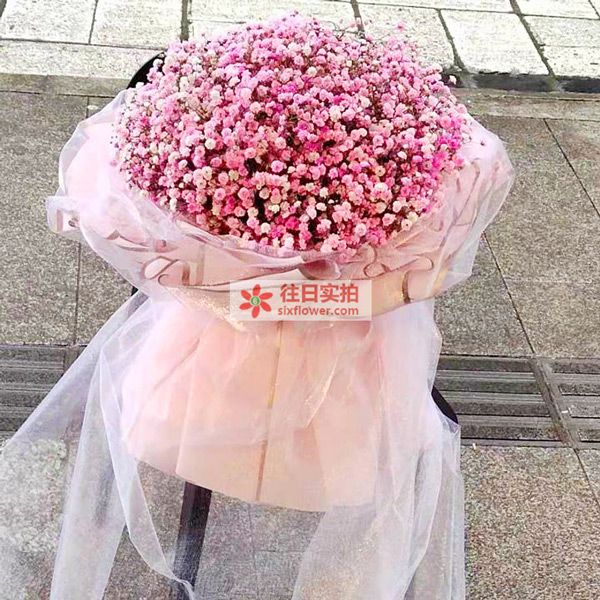 送宣汉职高的鲜花实拍图