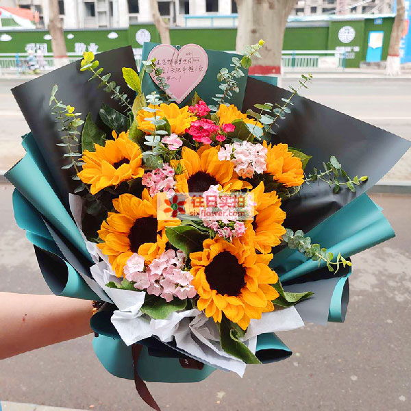 送新乡红旗区华兰大道68号金色奥园G9的鲜花实拍图