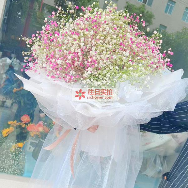 �ͳ���˫����˫��·17�ż���Է���ʻ�ʵ��ͼ