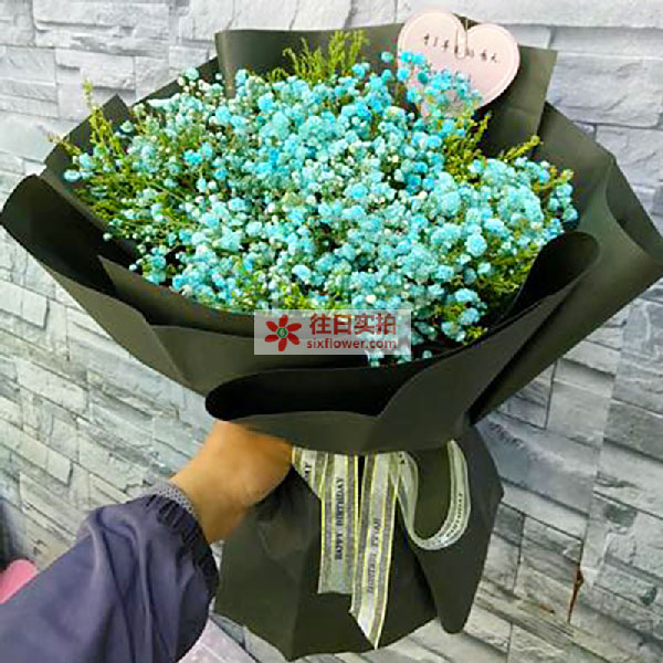 送西峰市后官寨镇镇府向西长庆工程质量检测站的鲜花实拍图