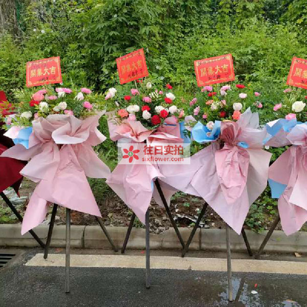 送眉山市东坡区药行天府创业园的鲜花实拍图