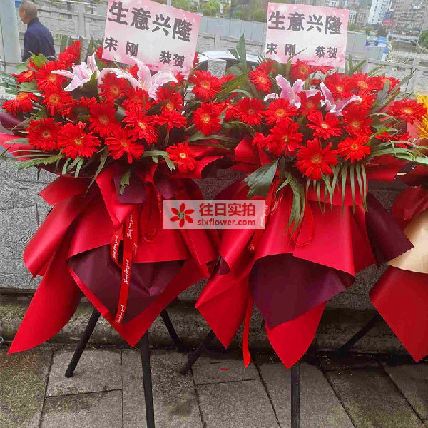 送毕节爱民广场对面的鲜花实拍图