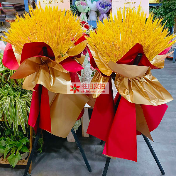 送陇西北关十字天桥以东的鲜花实拍图