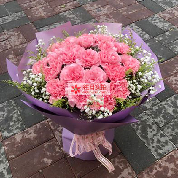 ���������������������3115�ŵ��ʻ�ʵ��ͼ