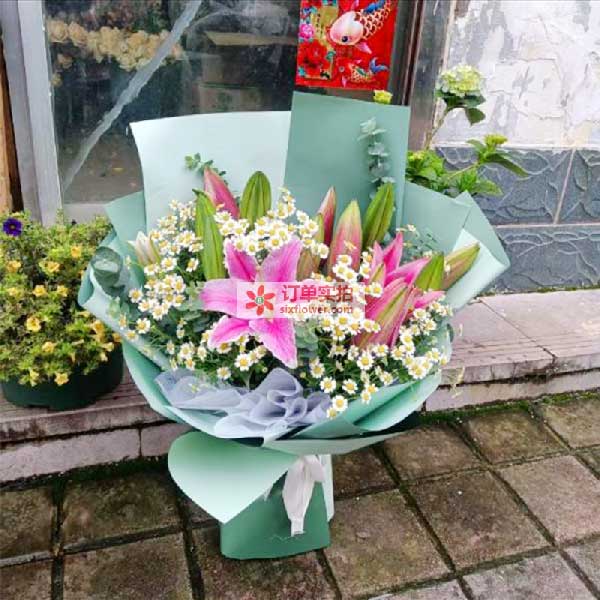 �������̹�԰���ʻ�ʵ��ͼ