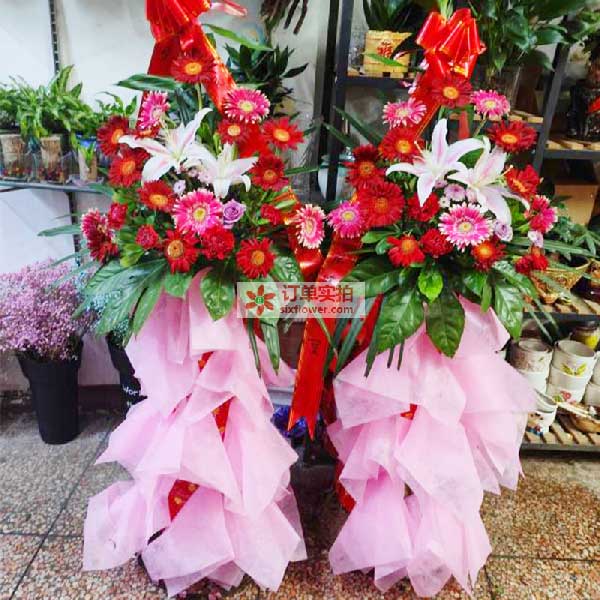 送鹿寨县兴鹿路20号碧桂园祥鹿城一楼的鲜花实拍图