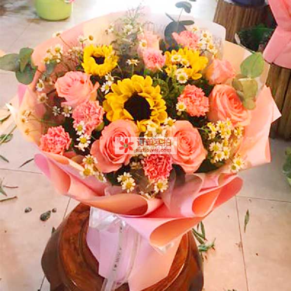 �������н�����������·��԰Ū����31�ŵ��ʻ�ʵ��ͼ